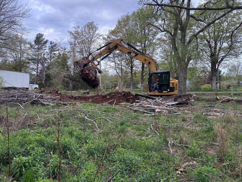 Excavator lifting a stump and root ball while clearing a wooded lot